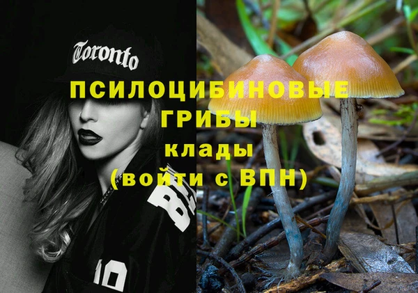 соль ск Беломорск