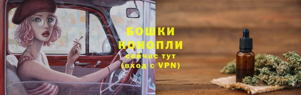 сатива Белокуриха