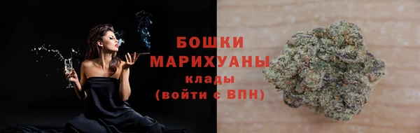 сатива Белокуриха