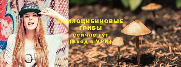 твердый Вязьма
