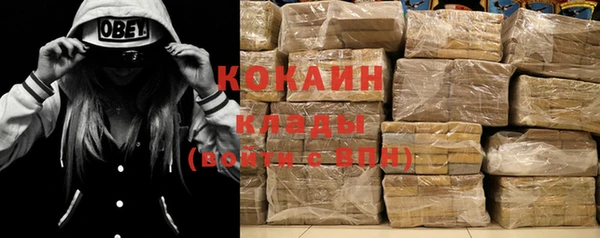 PSILOCYBIN Снежинск