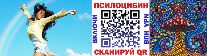 купить наркоту Боготол блэк спрут как войти Галлюциногенные грибы мицелий